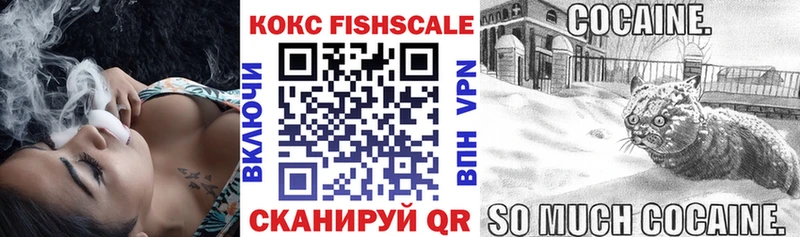 Cocaine FishScale  Купить закладки  Петропавловск-Камчатский 