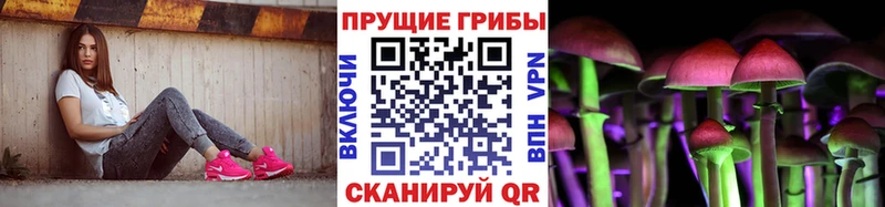 Купить где  Петропавловск-Камчатский  Псилоцибиновые грибы Psilocybine cubensis 